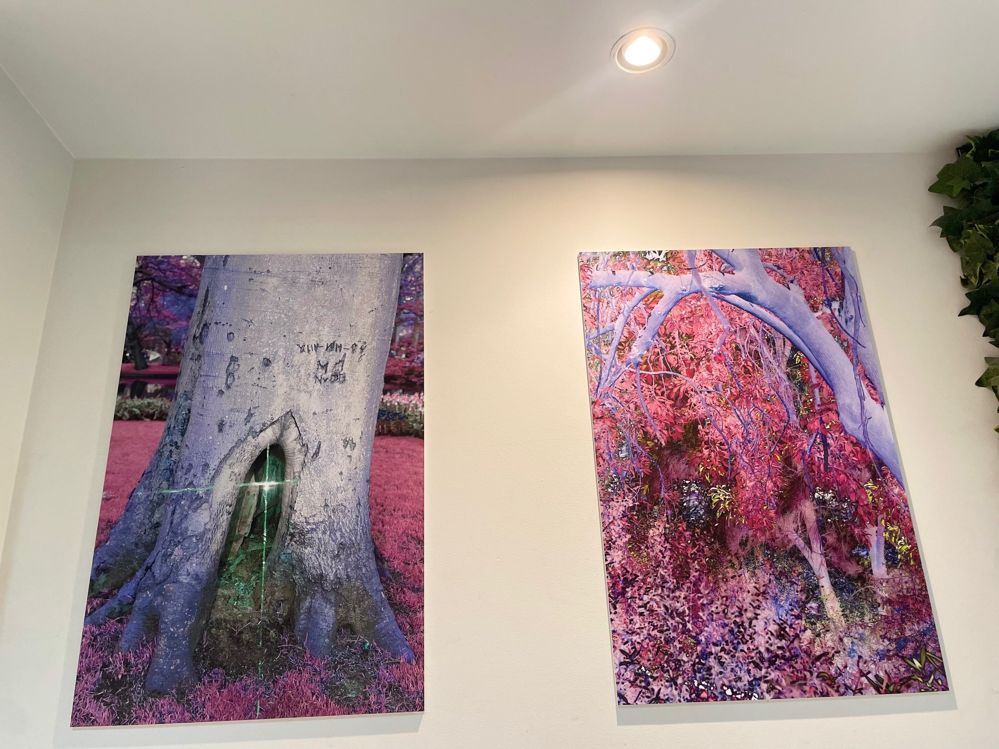 写真展イメージ2